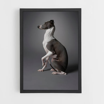 ap-greyhound-10 cadre Noir