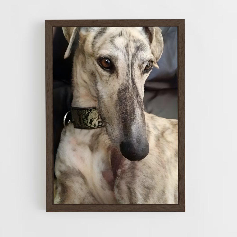 ap-greyhound-7 cadre Bois foncé