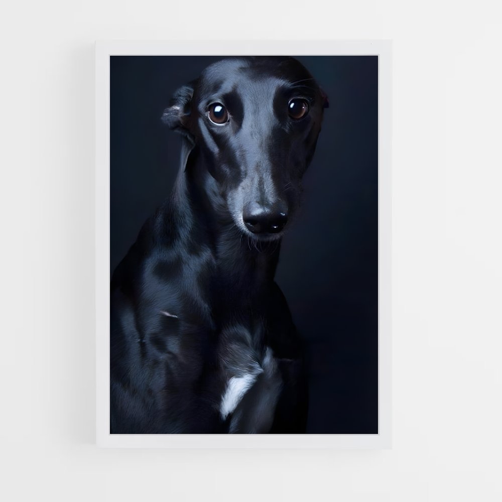 ap-greyhound-9 cadre Blanc