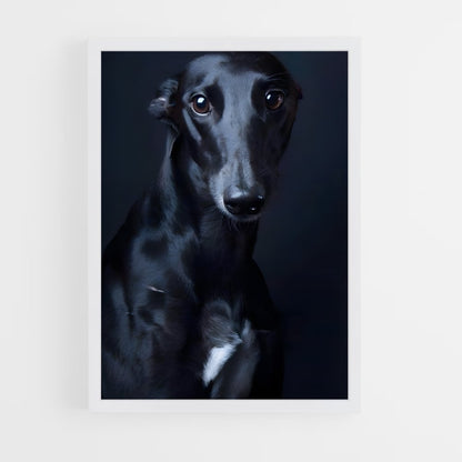 ap-greyhound-9 cadre Blanc