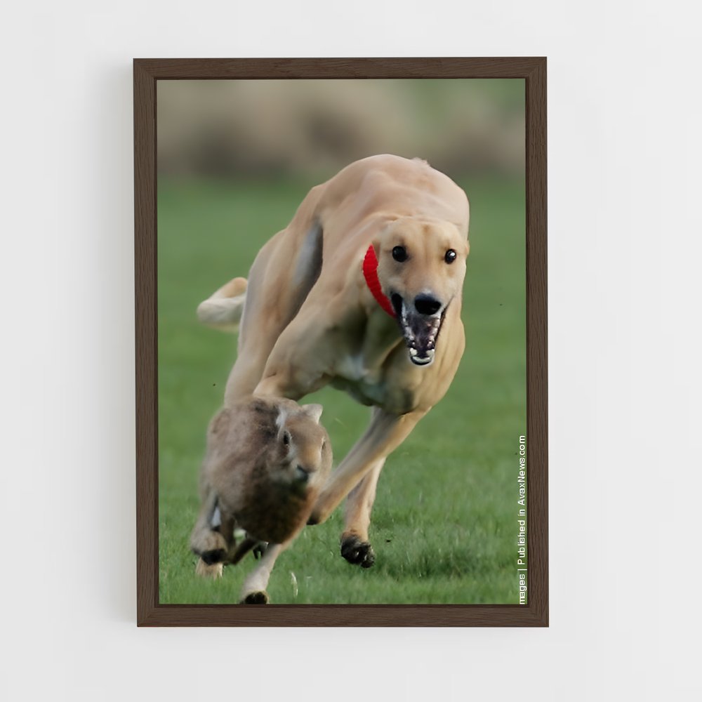 ap-greyhound racing-1 cadre Bois foncé