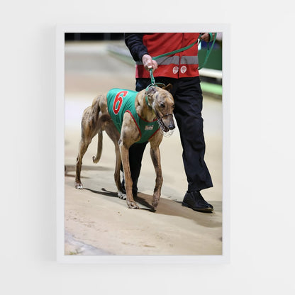 ap-greyhound racing-3 cadre Blanc