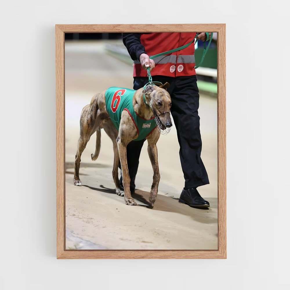 ap-greyhound racing-3 cadre Bois clair