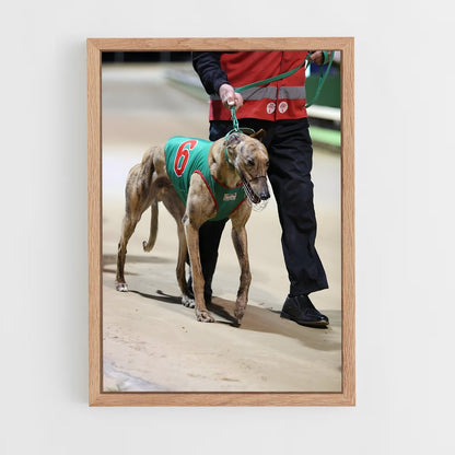 ap-greyhound racing-3 cadre Bois clair