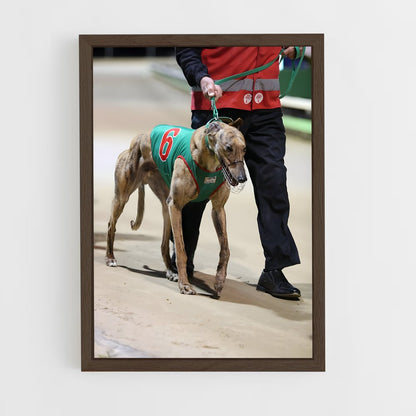 ap-greyhound racing-3 cadre Bois foncé