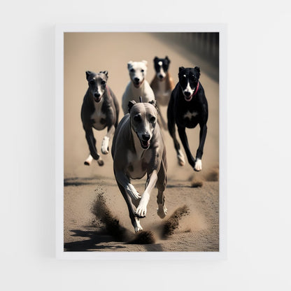 ap-greyhound racing-5 cadre Blanc