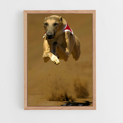 ap-greyhound racing-6 cadre Bois clair