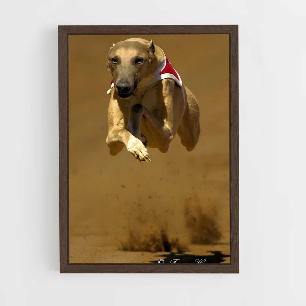 ap-greyhound racing-6 cadre Bois foncé