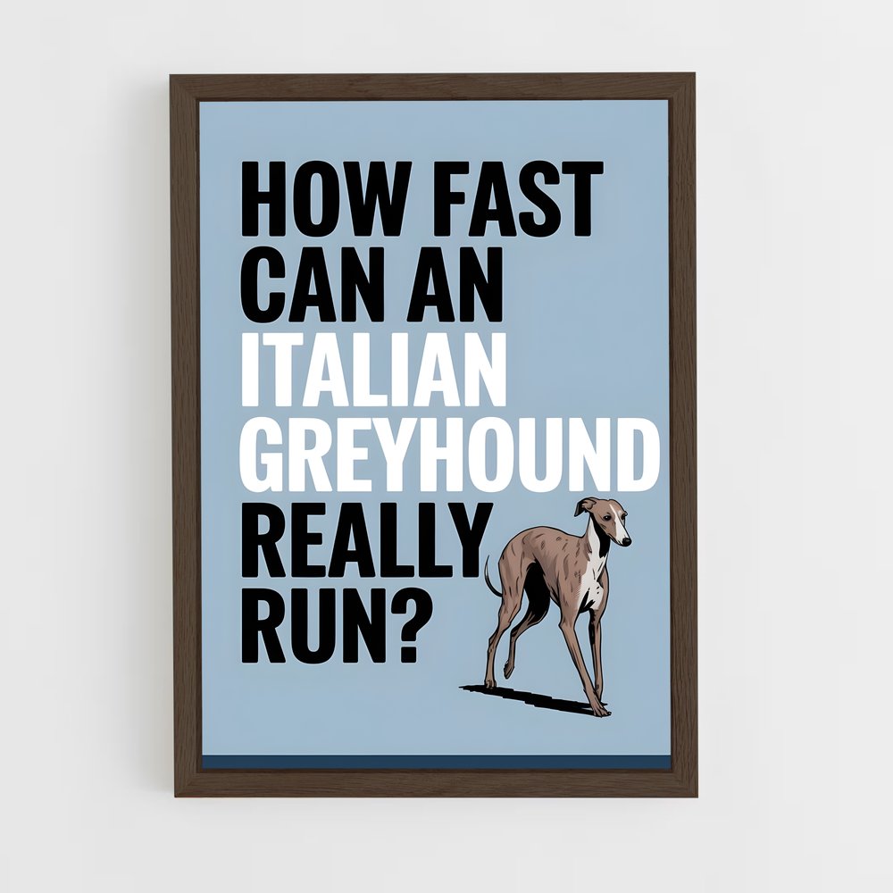 ap-greyhound speed records-1 cadre Bois foncé