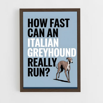 ap-greyhound speed records-1 cadre Bois foncé