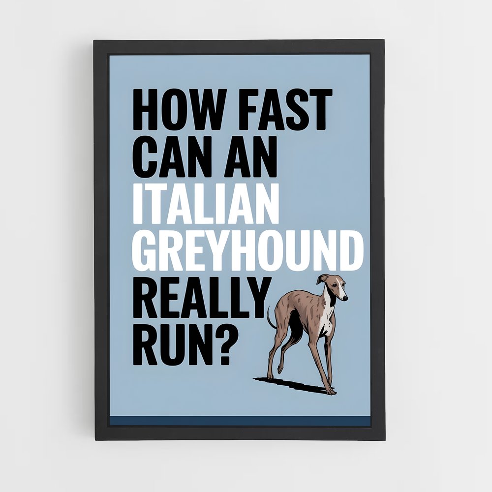 ap-greyhound speed records-1 cadre Noir