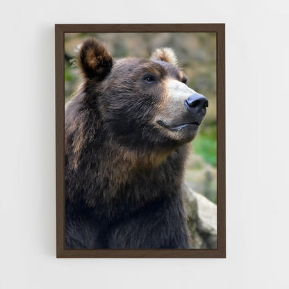 ap-grizzly bear-10 cadre Bois foncé