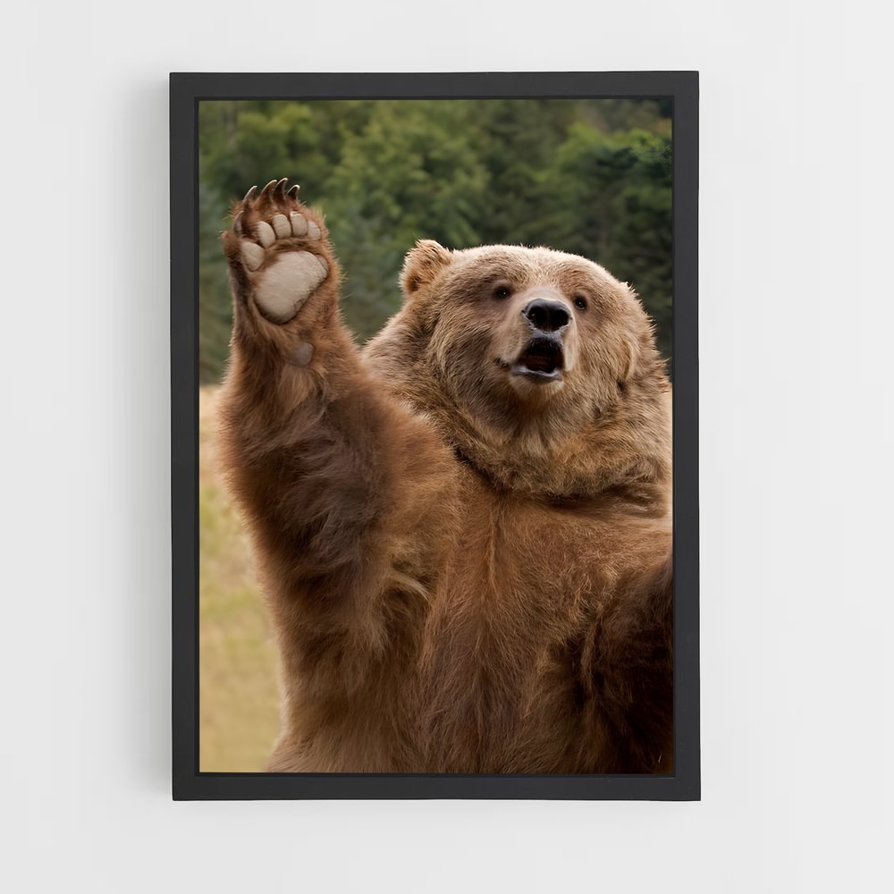 ap-grizzly bear-11 cadre Noir