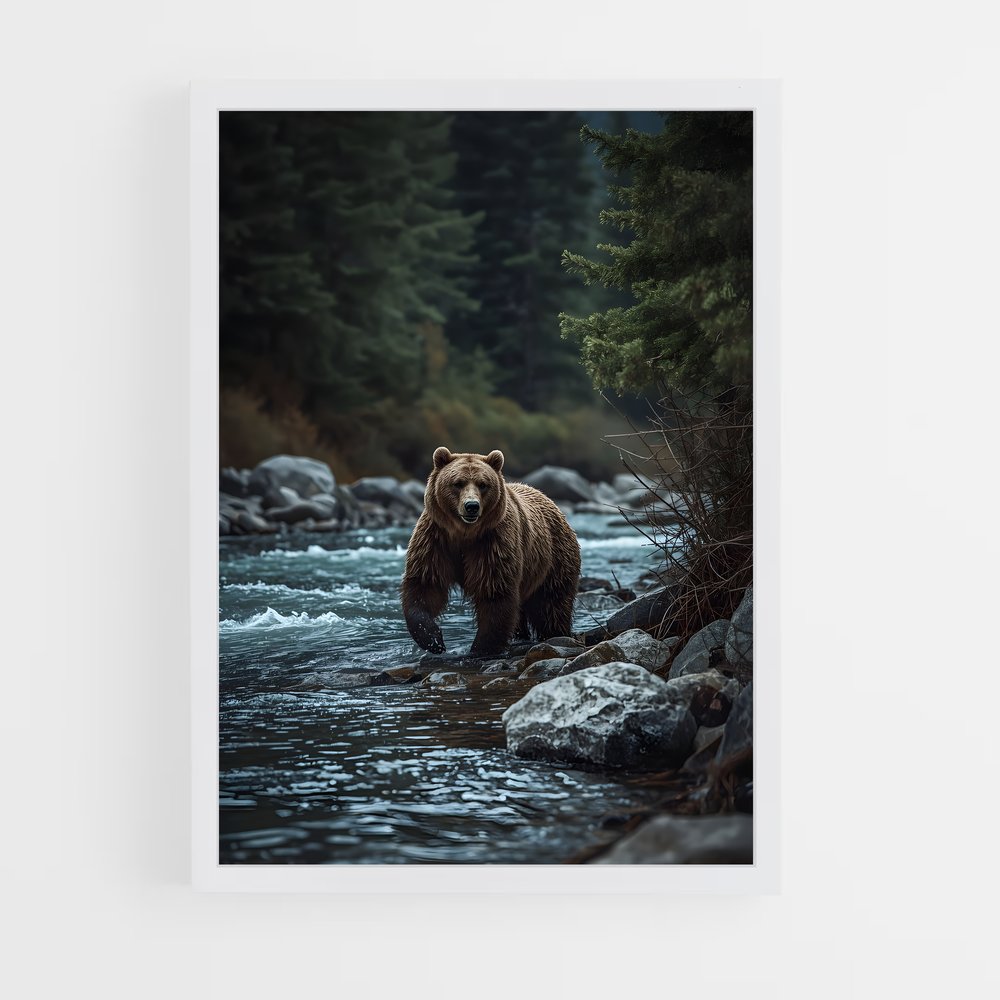 ap-grizzly bear-4 cadre Blanc