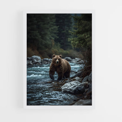 ap-grizzly bear-4 cadre Blanc