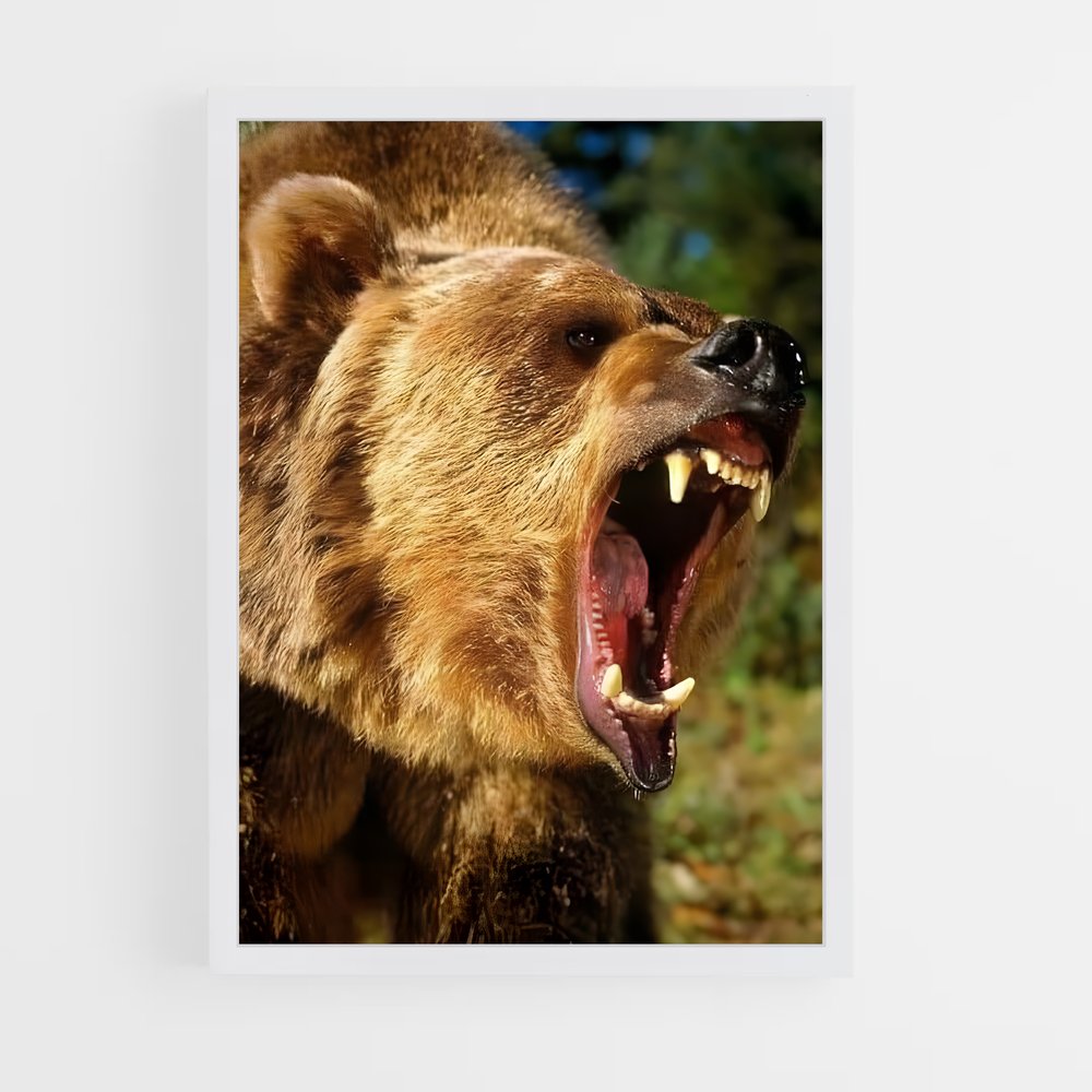 ap-grizzly bear-8 cadre Blanc