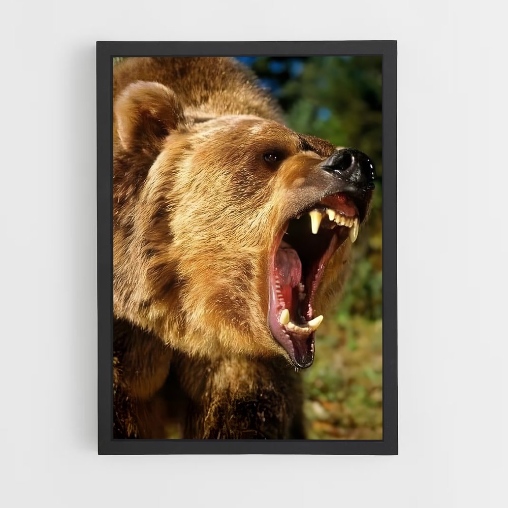 ap-grizzly bear-8 cadre Noir