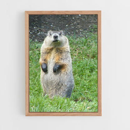 ap-groundhog-1 cadre Bois clair
