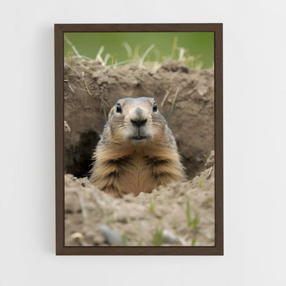ap-groundhog-4 cadre Bois foncé