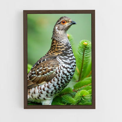 ap-grouse-1 cadre Bois foncé