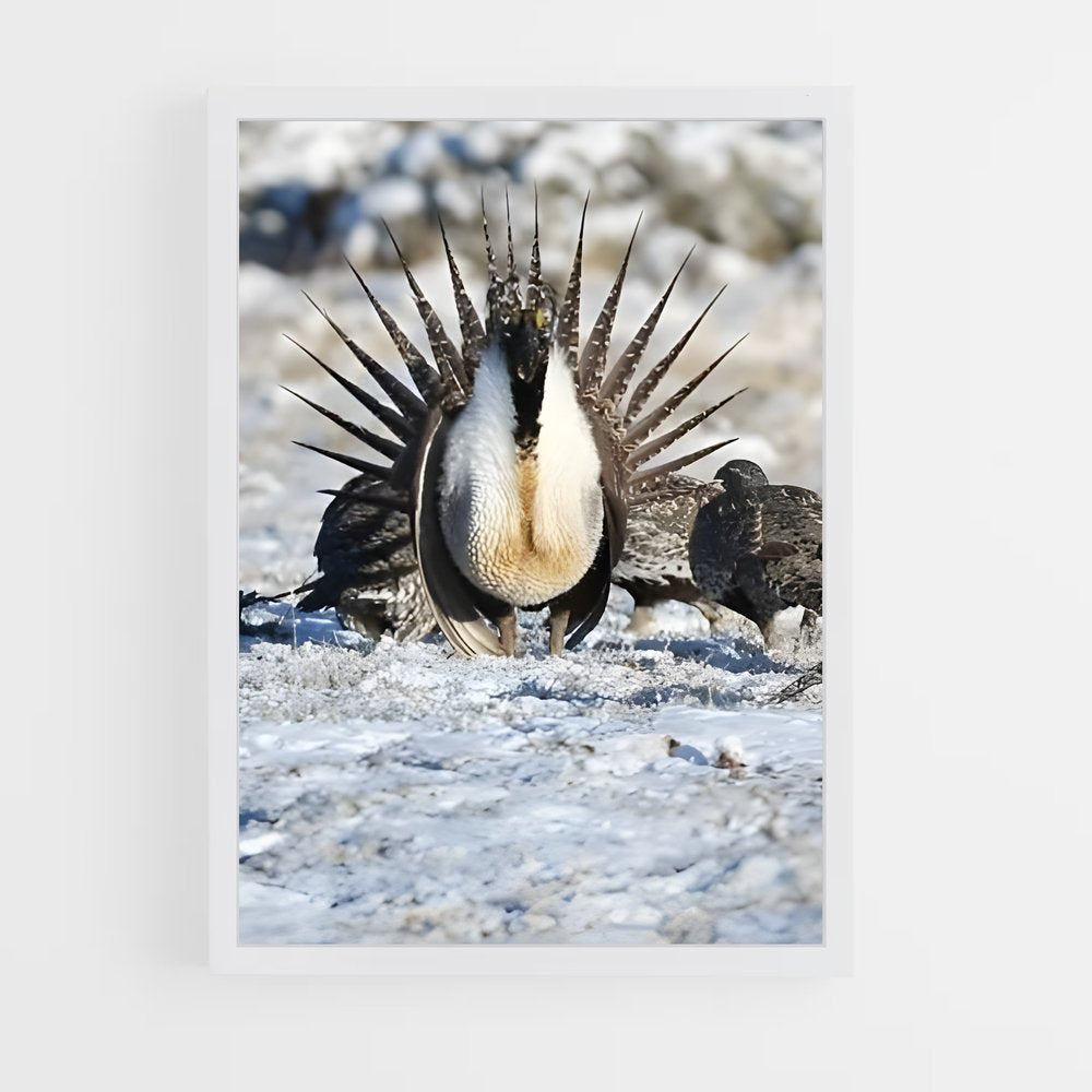 ap-grouse-2 cadre Blanc