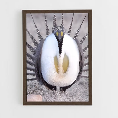 ap-grouse-3 cadre Bois foncé