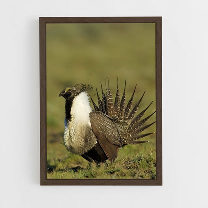 ap-grouse-4 cadre Bois foncé
