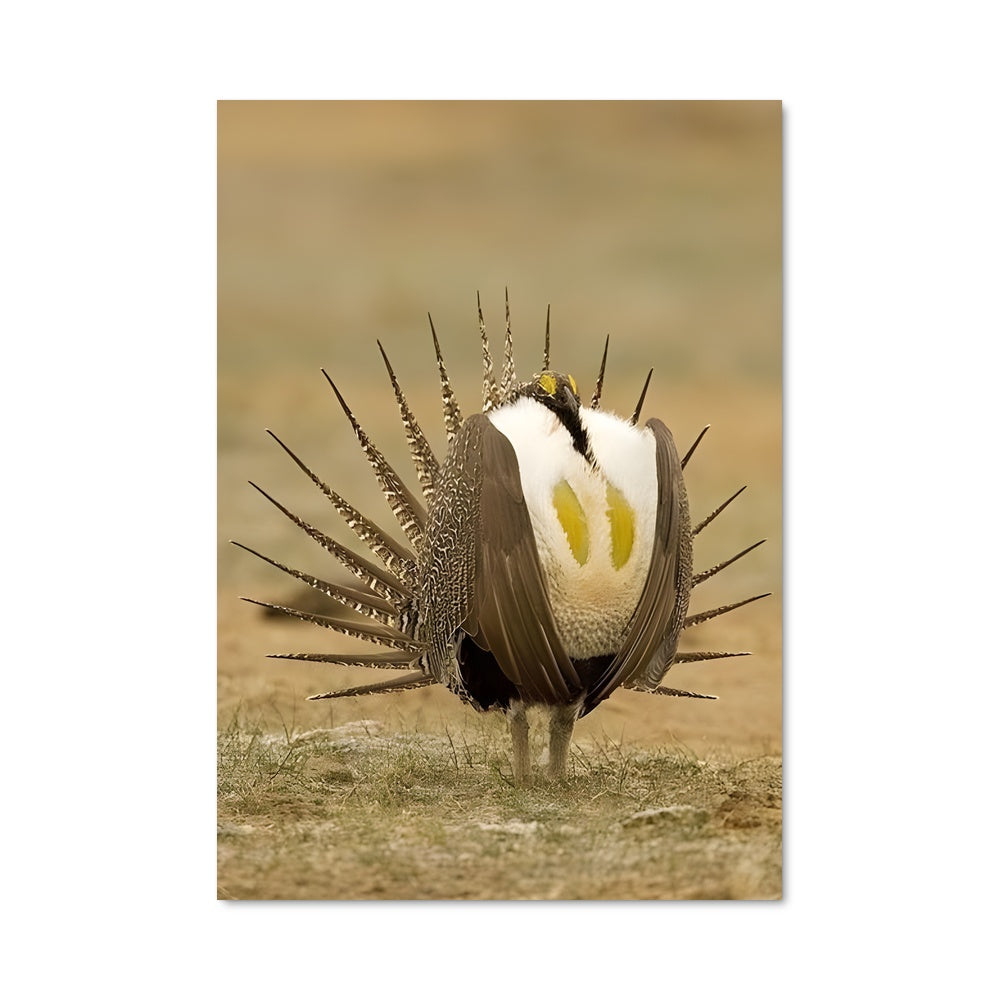 Poster Grue Éclatante