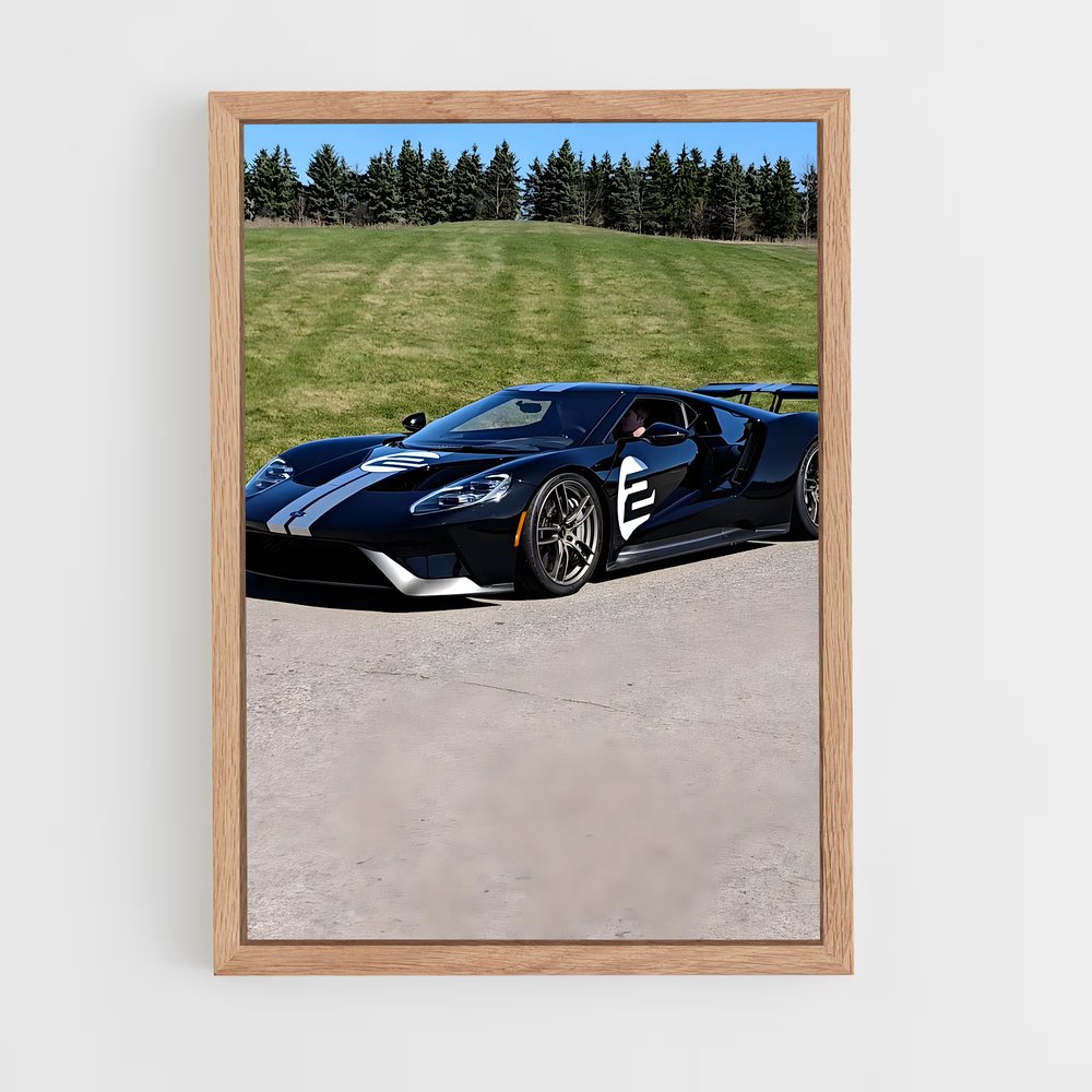 ap-gt heritage edition-2 cadre Bois clair