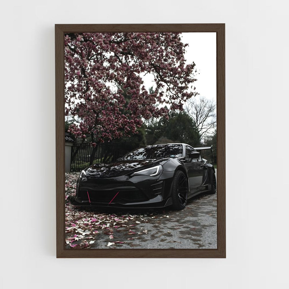 ap-gts-3 cadre Bois foncé