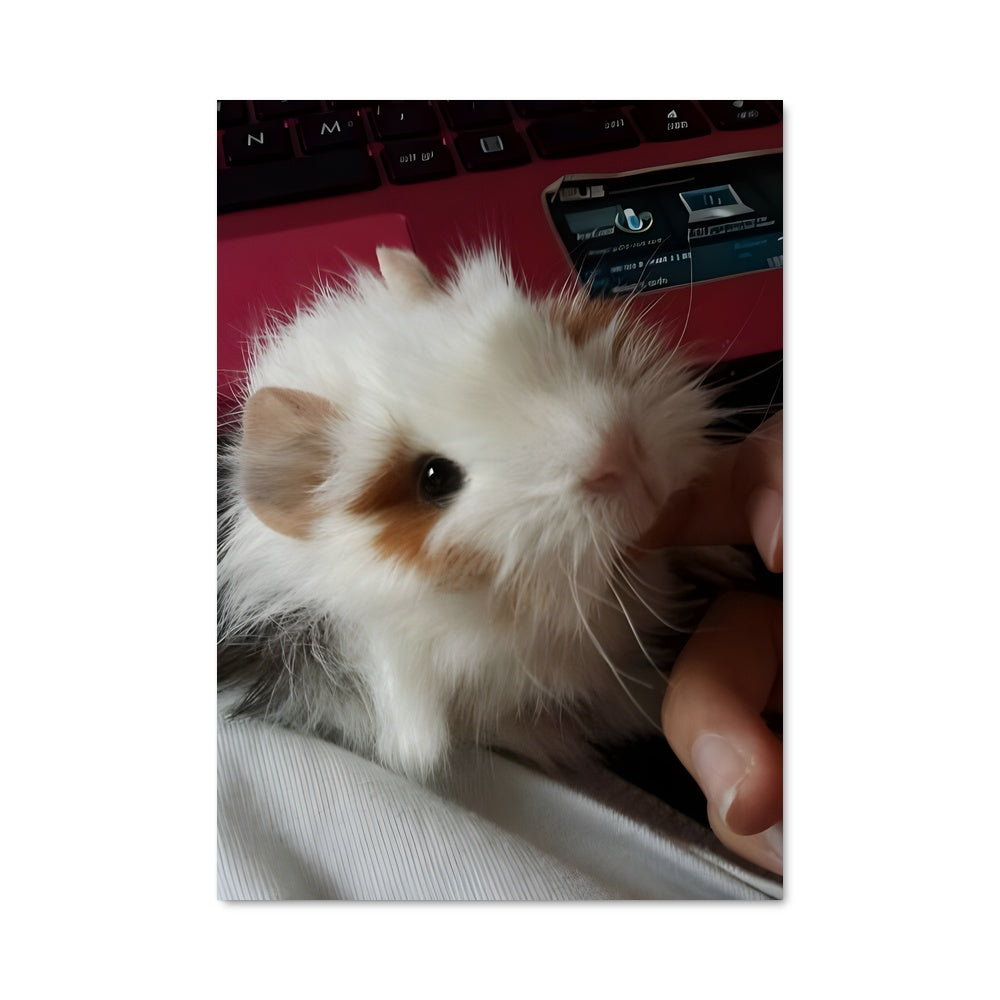 Poster Hamster Mania