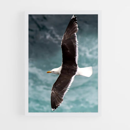 ap-gull-1 cadre Blanc