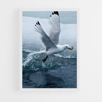 ap-gull-2 cadre Blanc