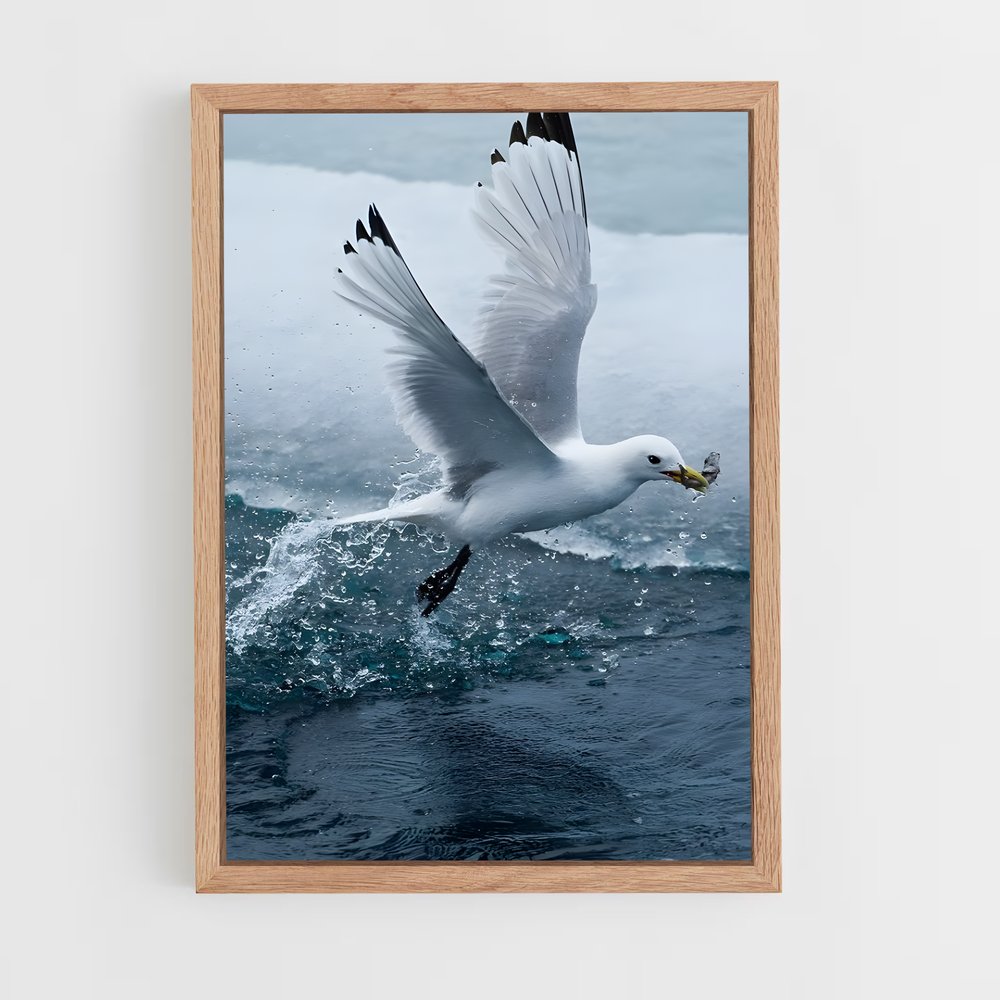 ap-gull-2 cadre Bois clair