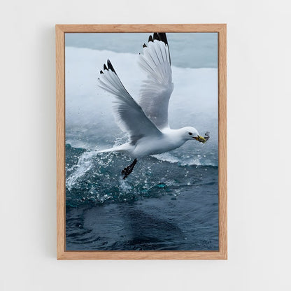 ap-gull-2 cadre Bois clair
