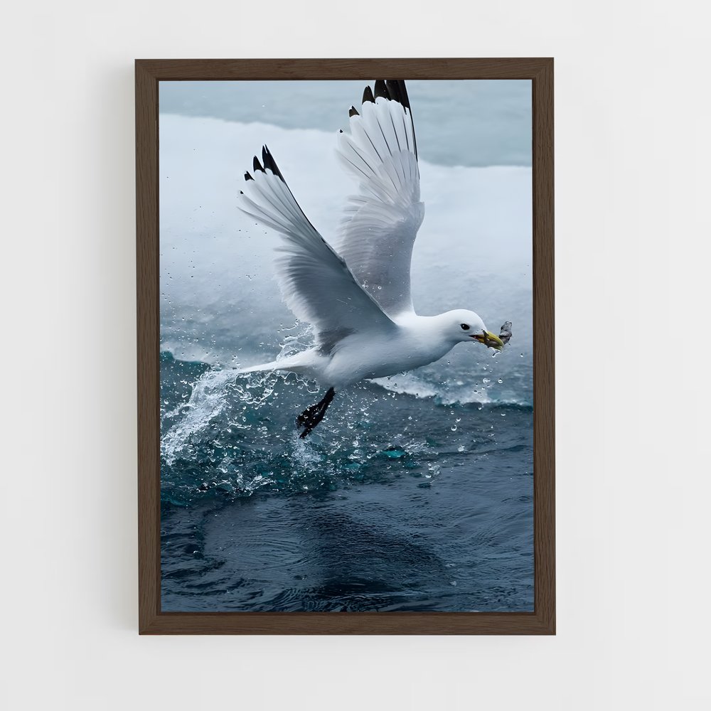 ap-gull-2 cadre Bois foncé