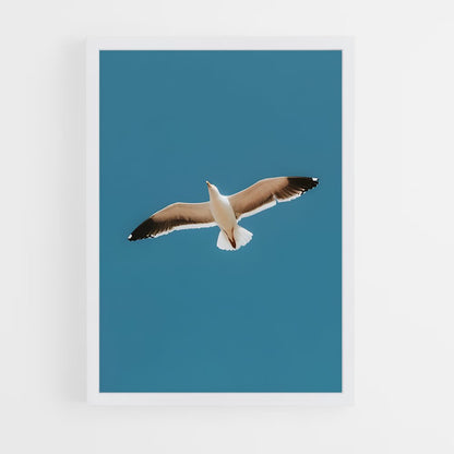 ap-gull-3 cadre Blanc