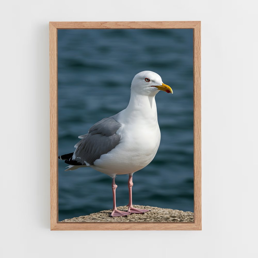 ap-gull-4 cadre Bois clair