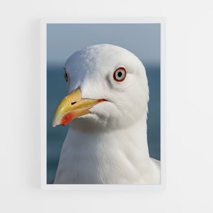 ap-gull-5 cadre Blanc