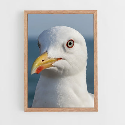 ap-gull-5 cadre Bois clair