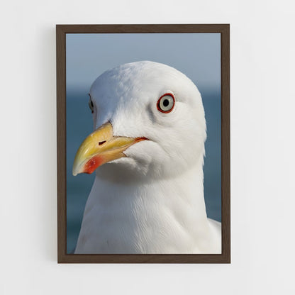 ap-gull-5 cadre Bois foncé