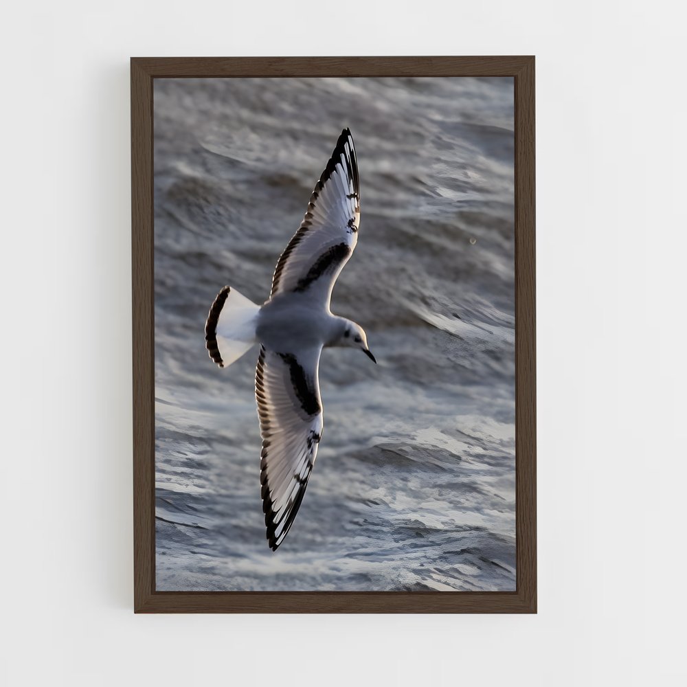 ap-gull-6 cadre Bois foncé
