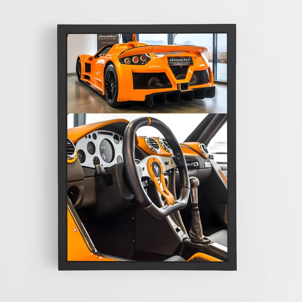 ap-gumpert-4 cadre Noir