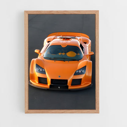 ap-gumpert-6 cadre Bois clair
