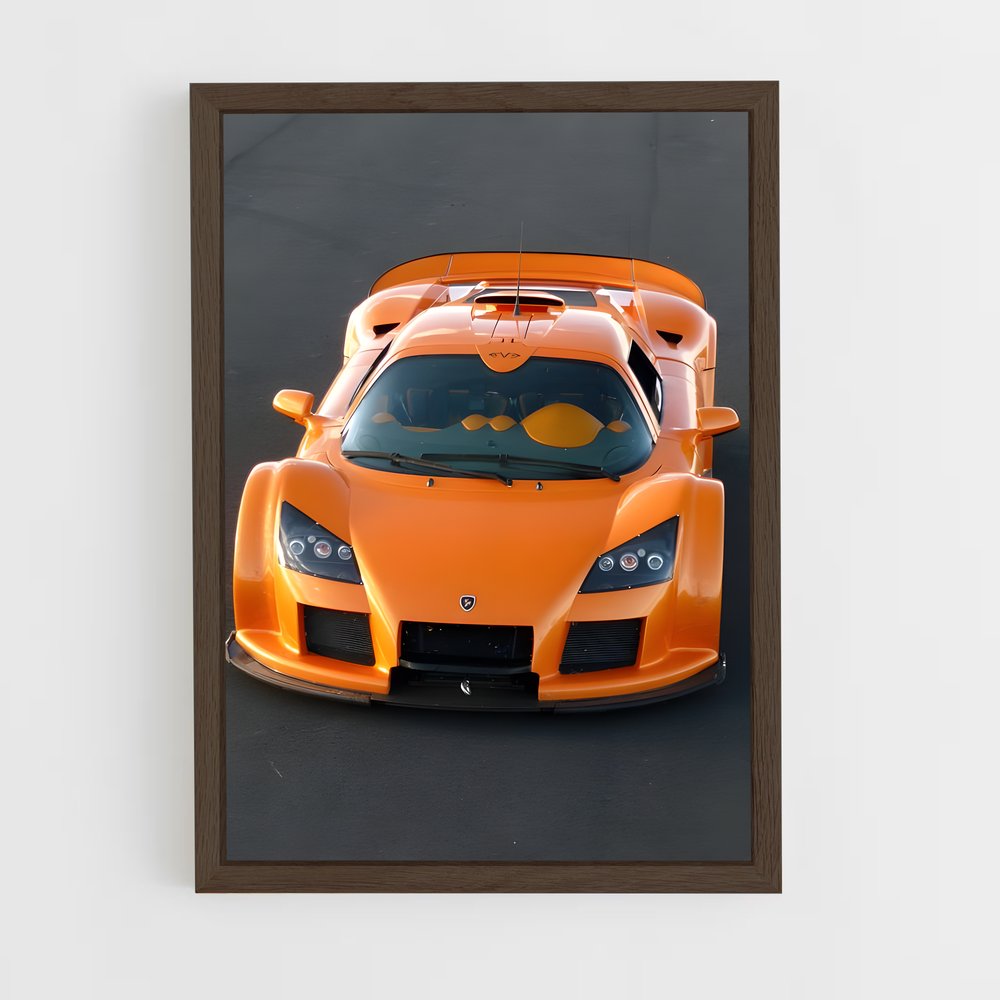 ap-gumpert-6 cadre Bois foncé