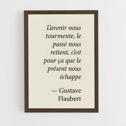 ap-gustave flaubert-1 cadre Bois foncé