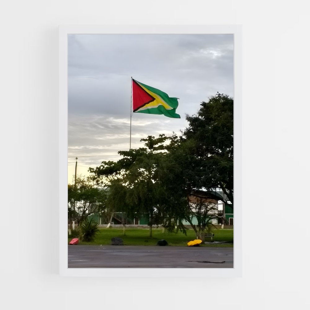 ap-guyana flag-1 cadre Blanc