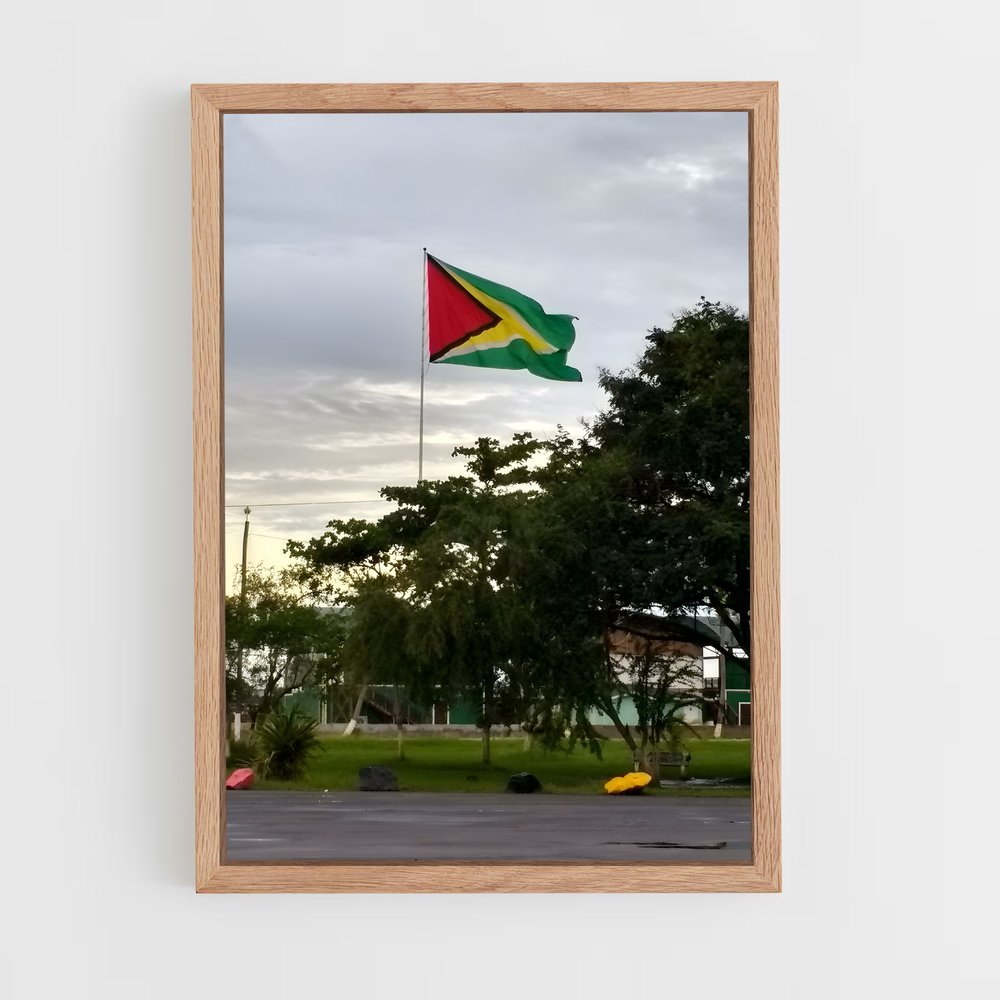 ap-guyana flag-1 cadre Bois clair