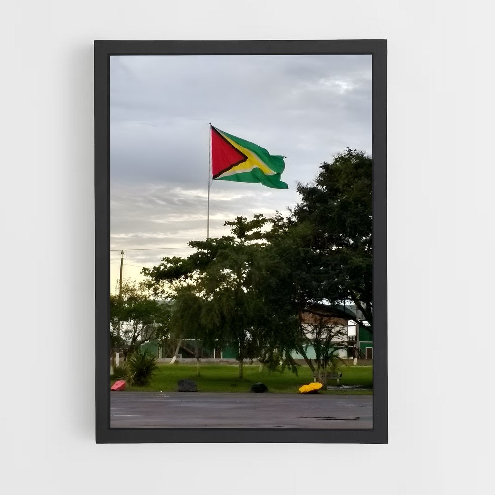 ap-guyana flag-1 cadre Noir
