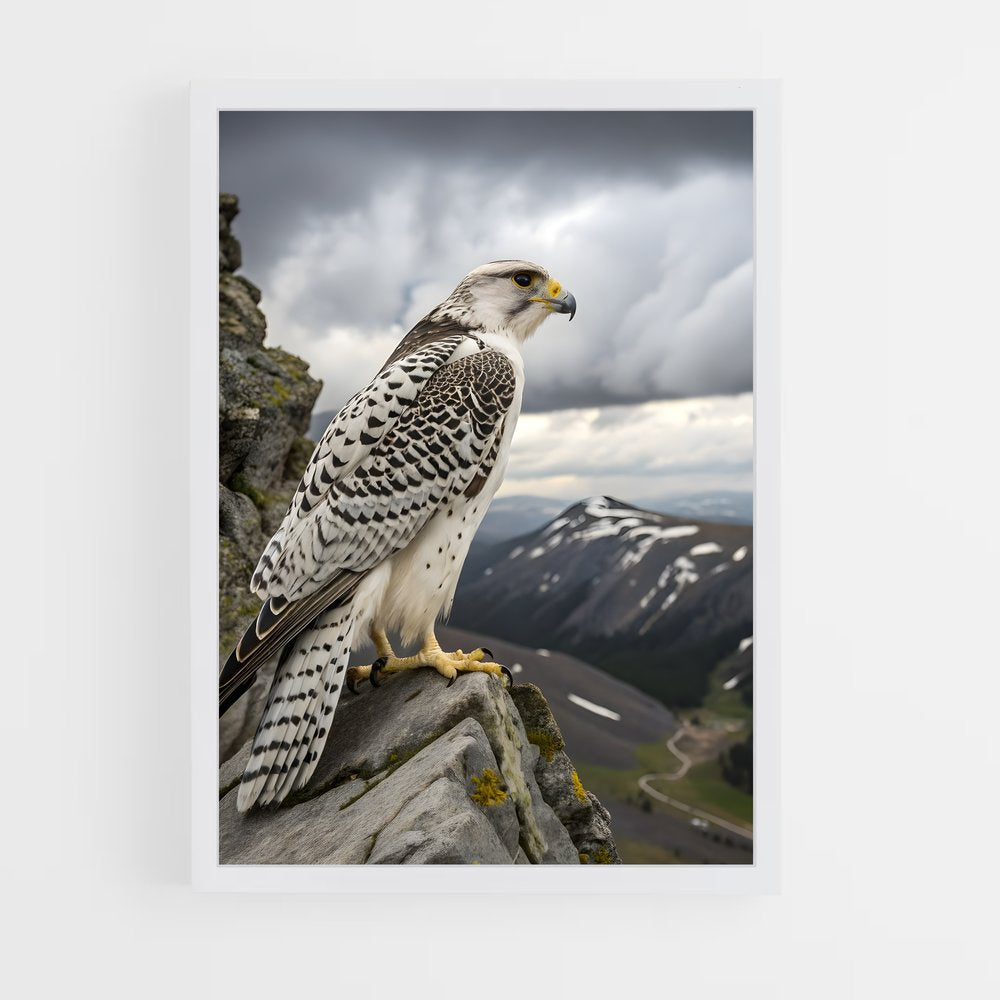 ap-gyrfalcon-1 cadre Blanc